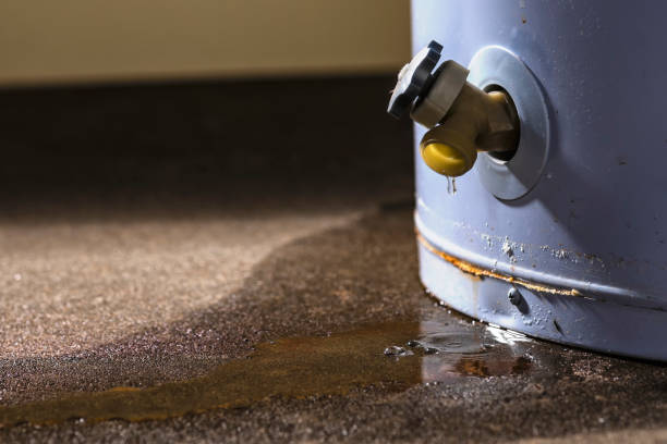 Water damage restoration mold remediation in Worthington, OH