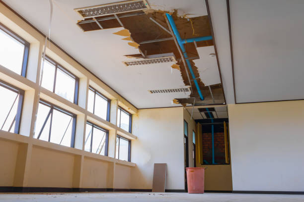 Best Water damage restoration mold remediation  in Worthington, OH
