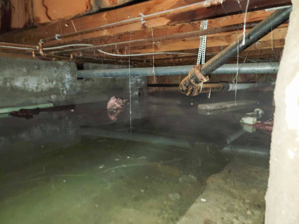 Water damage restoration mold remediation in Worthington, OH