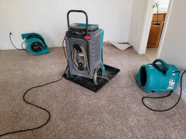 Trusted Worthington, OH Water damage restoration Experts