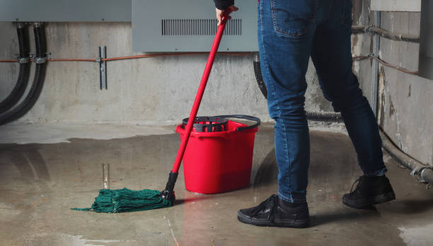 Best Residential water damage restoration  in Worthington, OH