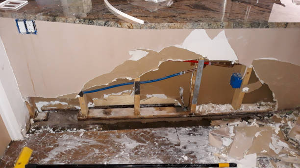 Best Flood restoration services  in Worthington, OH