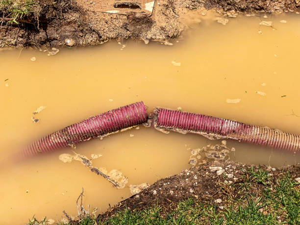 Best Mold removal after water damage  in Worthington, OH