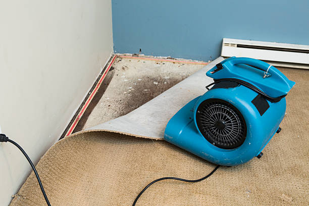 Best Emergency water damage restoration  in Worthington, OH